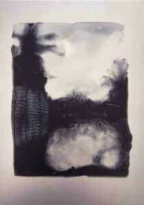 Photomatière TH VIII Al