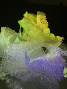 Installation fusion, captation vidéo